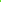 NEO Green - Piccadilly
