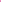 NEO Pink - Piccadilly