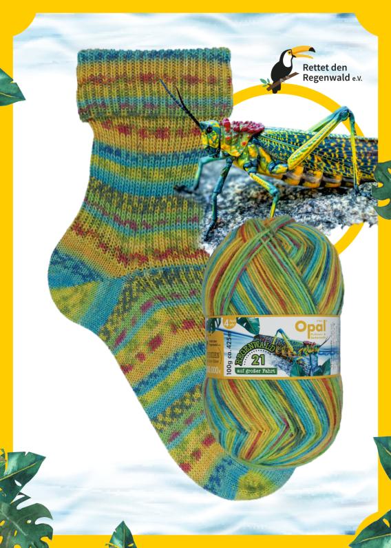 Rainforest Collection - Navigator