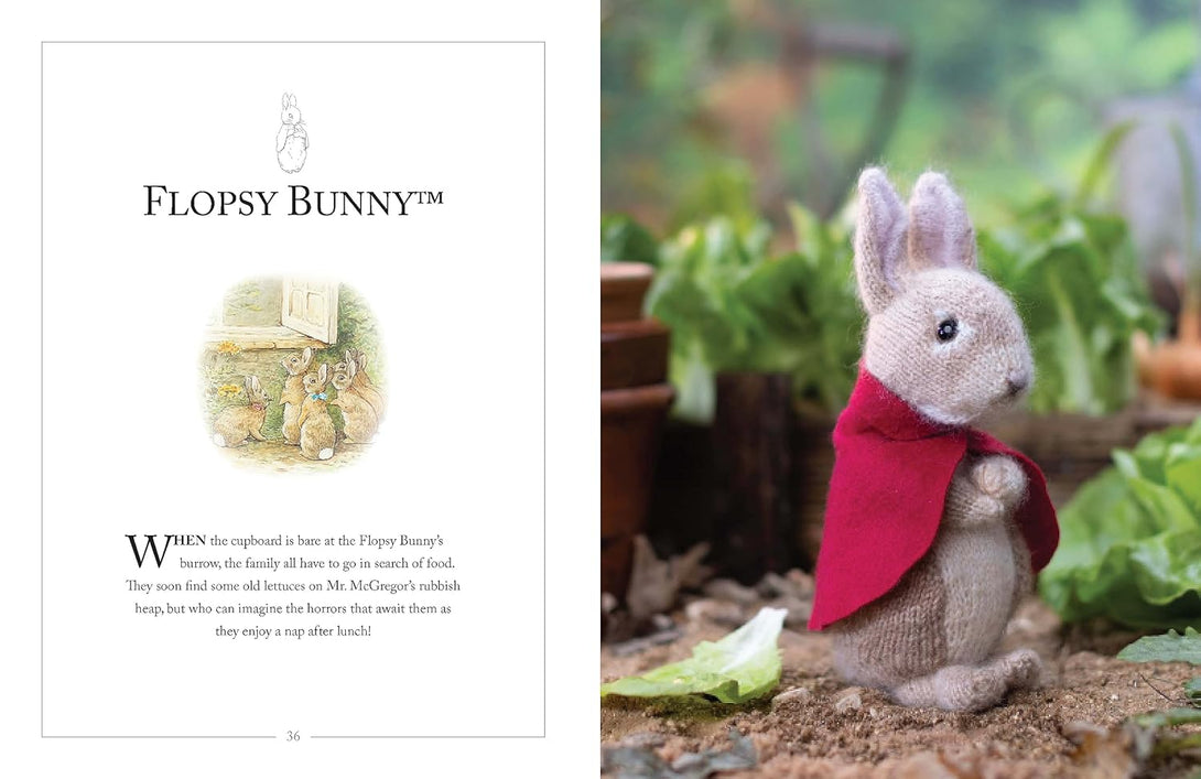 Knitting Peter Rabbit 12 Toy Knitting Patterns from the Tales of Beatr ...
