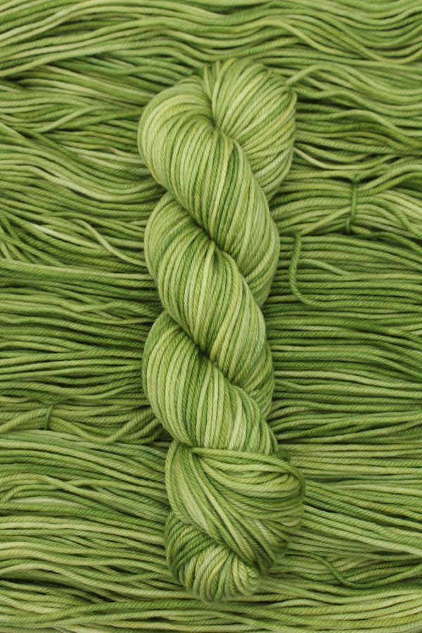 Don't Forget the Lichens - Australian Merino 12ply