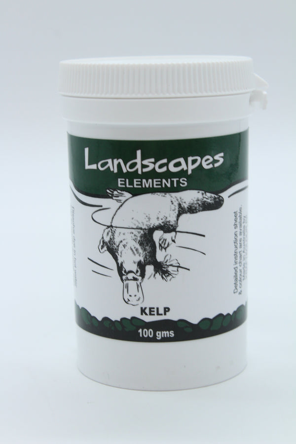 Landscape Dye - Kelp