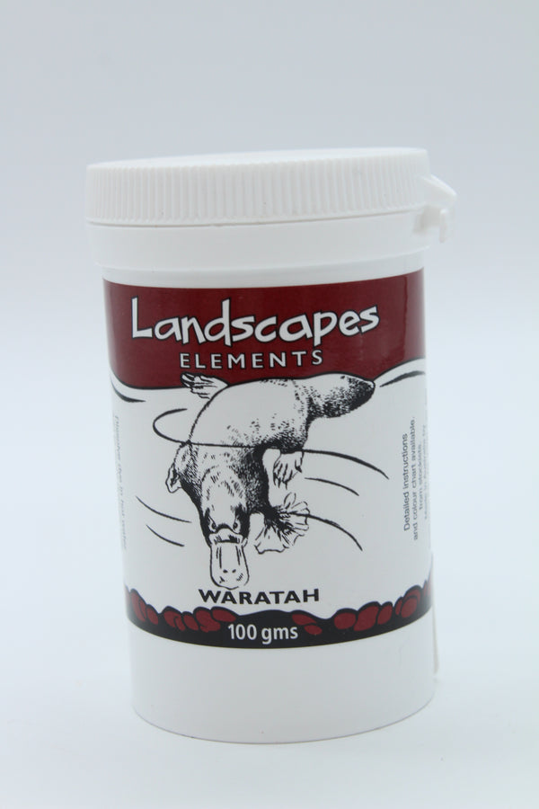 Landscape Dye - Waratah