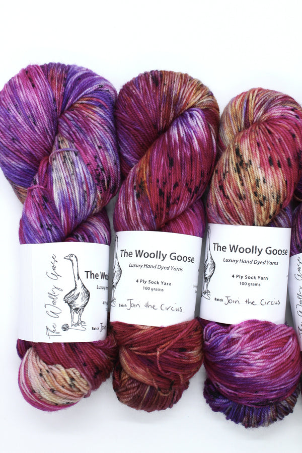 Join the Circus - Goose's 4ply