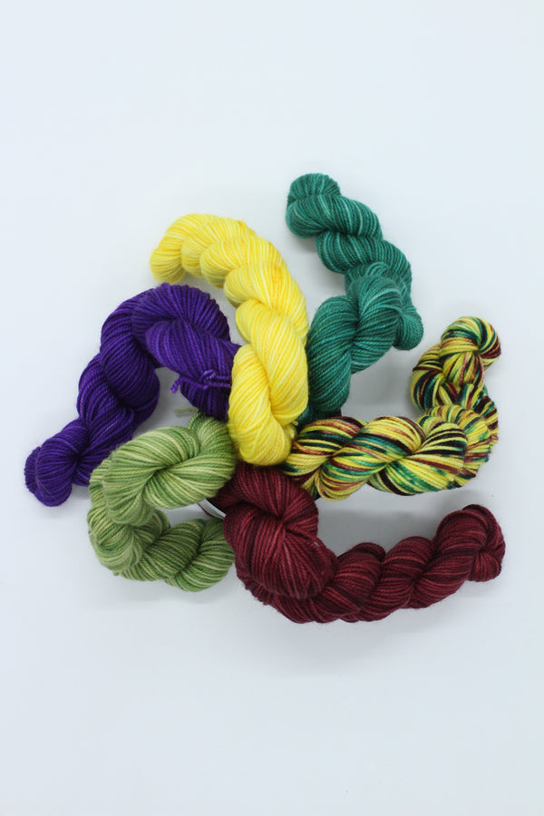 Urban Warrior Mini Skein Pack - 4ply x 6