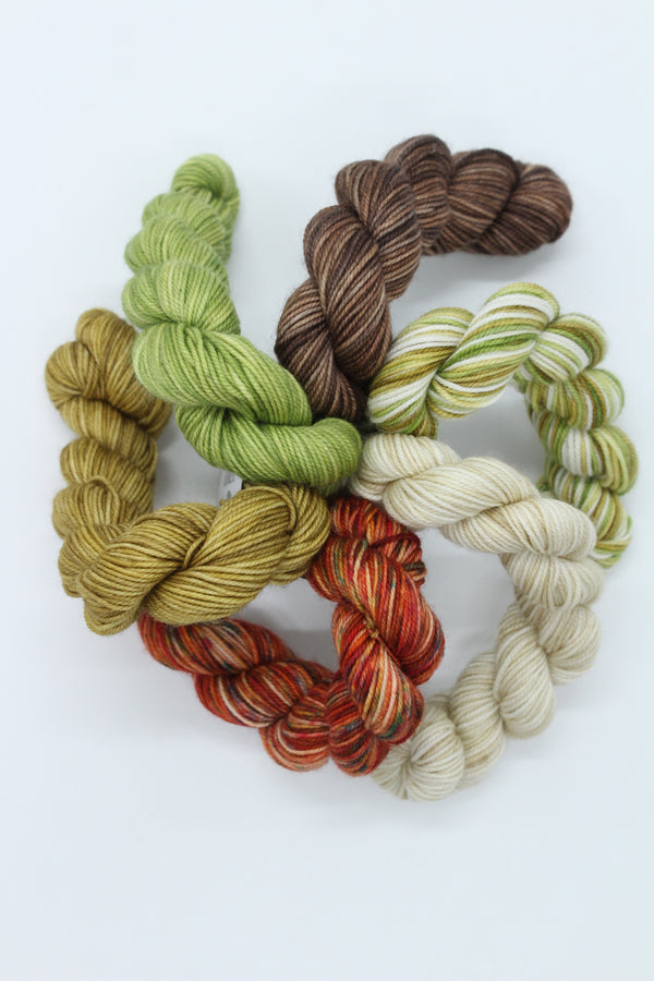 Survival Mini Skein Pack - 4ply x 6