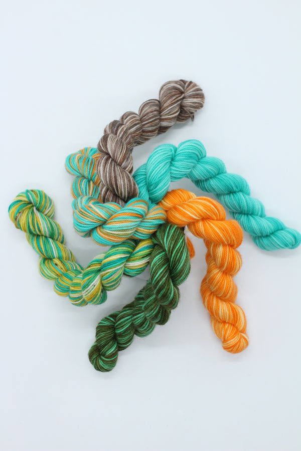Best Before Mini Skein Pack - 4ply x 6