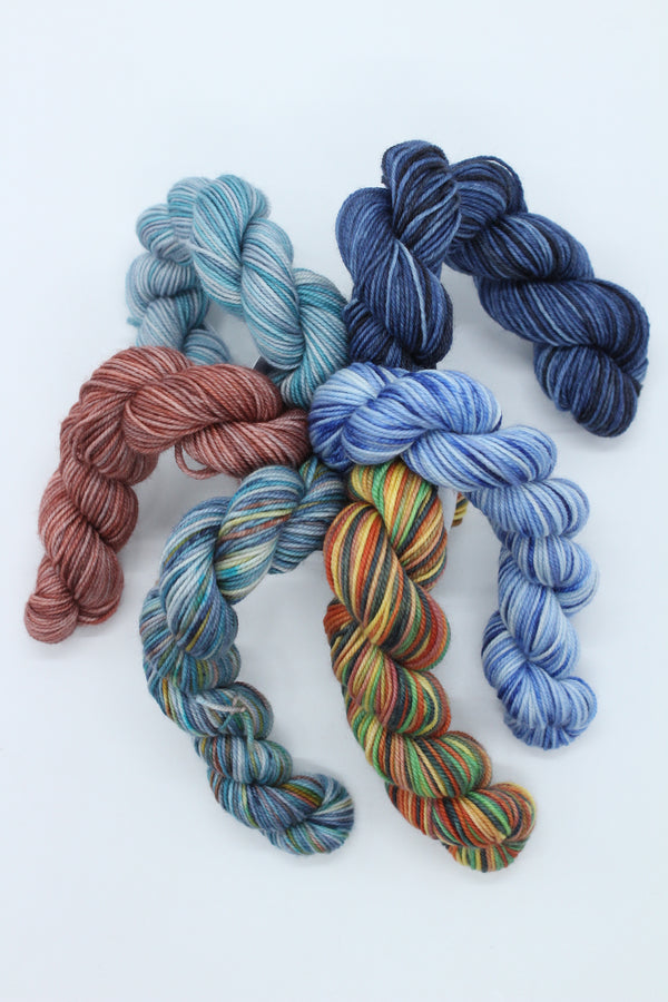 A Man's World Mini Skein Pack - 4ply x 6 (Copy)