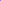 Sun Orchid